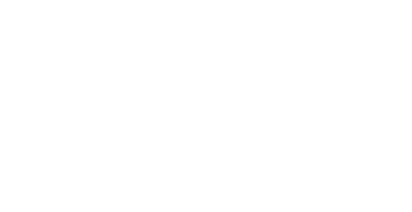 logo bmv compleet (1) 9